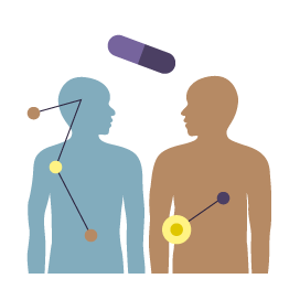 Euretos Patient Stratification and drug response analysis-1