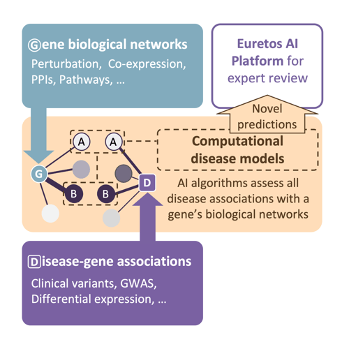 New disease model extra border