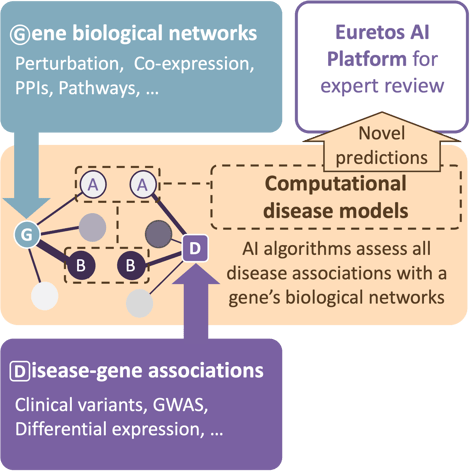 New disease model square9